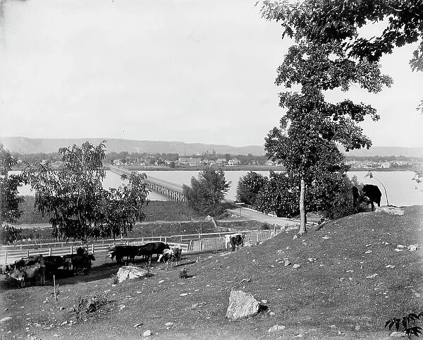 Winona from bluffs west of city, between 1880 and 1899. Creator: Unknown