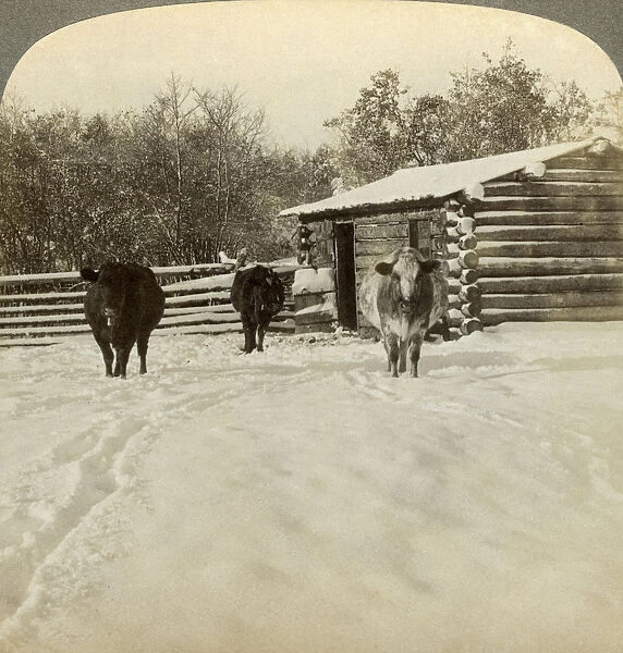 Winter on a ranch, Montana, USA. Artist: Underwood & Underwood