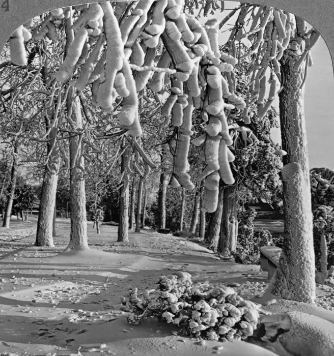Framed Print : Winter scene, Goat Island, Niagara Falls, New York, USA. Artist: Realistic Travels Publishers Framed Print : Winter scene, Goat Island, Niagara Falls, New York, USA. Artist: Realistic Travels Publishers
