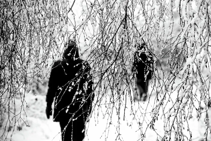 Framed Print : Winter Stroll. Creator: Dorte Verner Framed Print : Winter Stroll. Creator: Dorte Verner