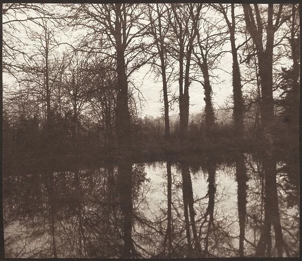 Winter Trees Reflected in a Pond, 1841-42. Creator: William Henry Fox Talbot (British, 1800-1877)