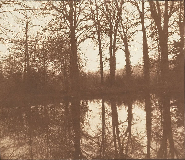 [Winter Trees, Reflected in a Pond], 1841-42. Creator: William Henry Fox Talbot