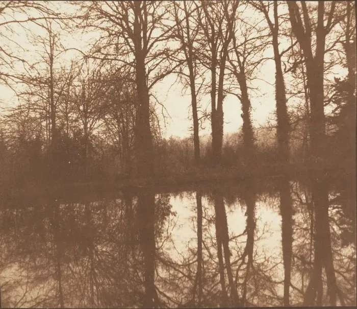 Framed Print : [Winter Trees, Reflected in a Pond], 1841-42. Creator: William Henry Fox Talbot