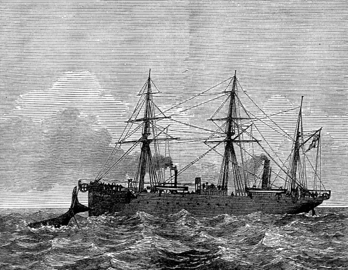 Framed Print : Wiring a whale by the Persian Gulf Submarine Telegraph Cable, 1873. Creator: Unknown Framed Print : Wiring a whale by the Persian Gulf Submarine Telegraph Cable, 1873. Creator: Unknown