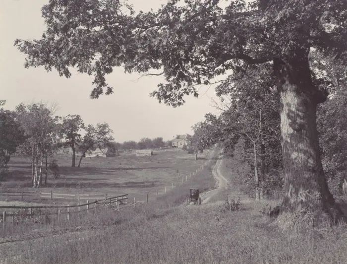 Framed Print : Wisconsin Landscape, 1889. Creator: Henry Hamilton Bennett Framed Print : Wisconsin Landscape, 1889. Creator: Henry Hamilton Bennett
