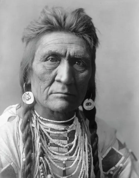 Framed Print : Wolf, c1908. Creator: Edward Sheriff Curtis Framed Print : Wolf, c1908. Creator: Edward Sheriff Curtis