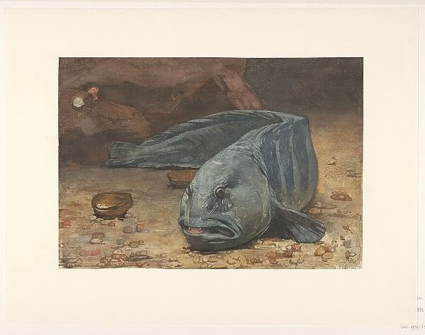 Wolffish at the bottom of an aquarium, 1883. Creator: Willem Witsen