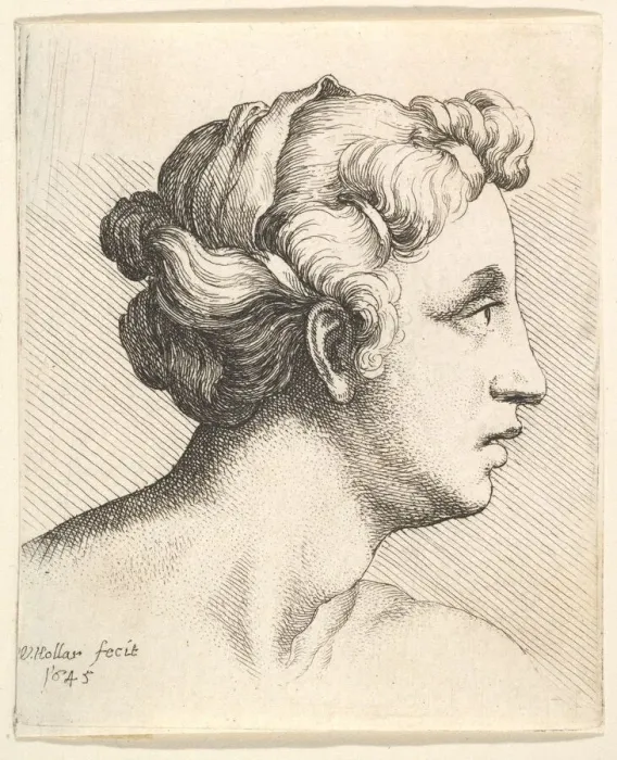 Framed Print : Woman with a bound tress of hair in profile to right, 1645. Creator: Wenceslaus Hollar Framed Print : Woman with a bound tress of hair in profile to right, 1645. Creator: Wenceslaus Hollar