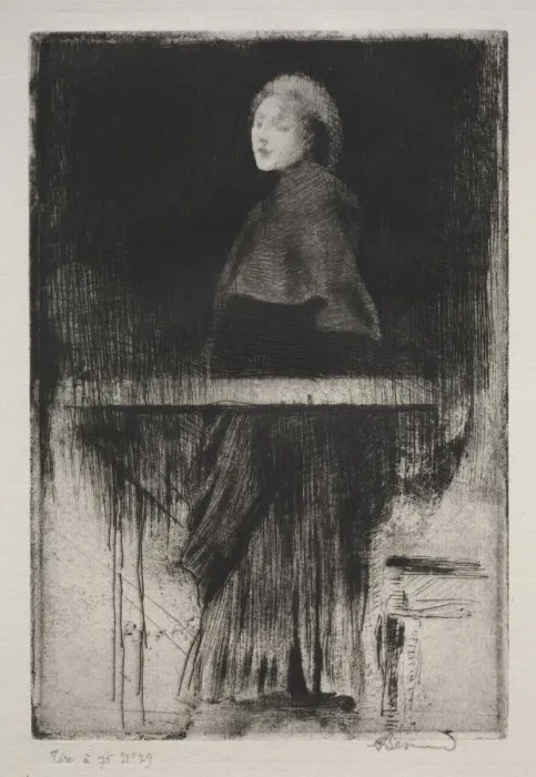 Framed Print : Woman with a Cape, 1889. Creator: Albert Besnard (French, 1849-1934) Framed Print : Woman with a Cape, 1889. Creator: Albert Besnard (French, 1849-1934)