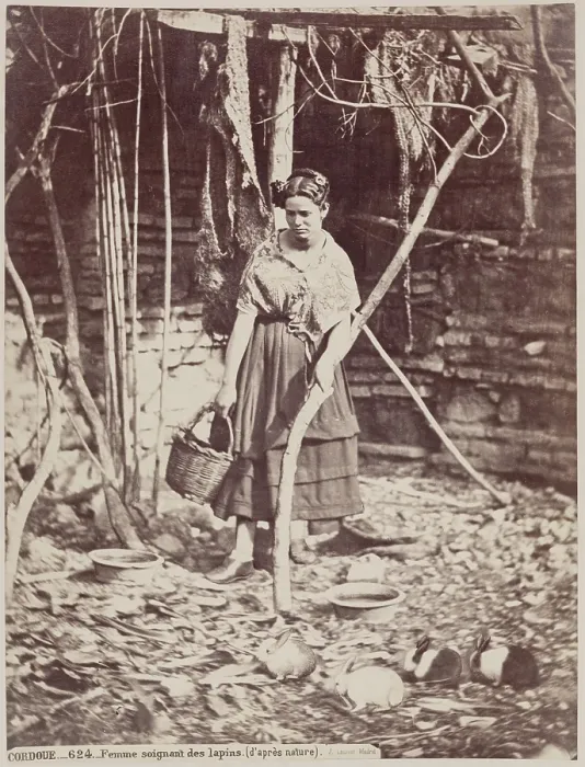 Framed Print : Woman Caring for Rabbits, Cordoba, c1885. Creator: Juan Laurent Framed Print : Woman Caring for Rabbits, Cordoba, c1885. Creator: Juan Laurent