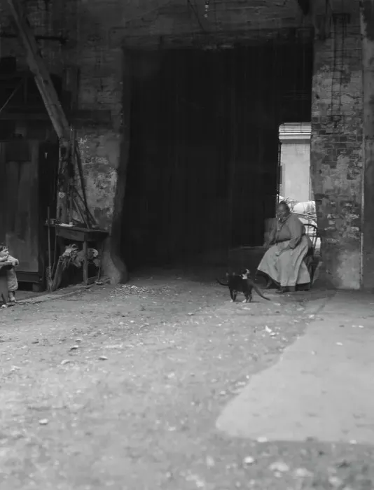 Framed Print : Woman and cats in a courtyard, New Orleans, between 1920 and 1926. Creator: Arnold Genthe Framed Print : Woman and cats in a courtyard, New Orleans, between 1920 and 1926. Creator: Arnold Genthe