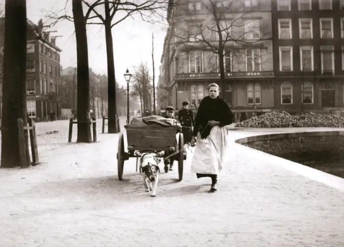 Framed Print : Woman with dogcart, Rotterdam, 1898. Artist: James Batkin