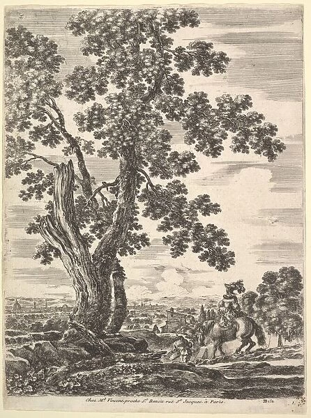 A woman on horseback seen from behind descending a hill to the right, a large tree