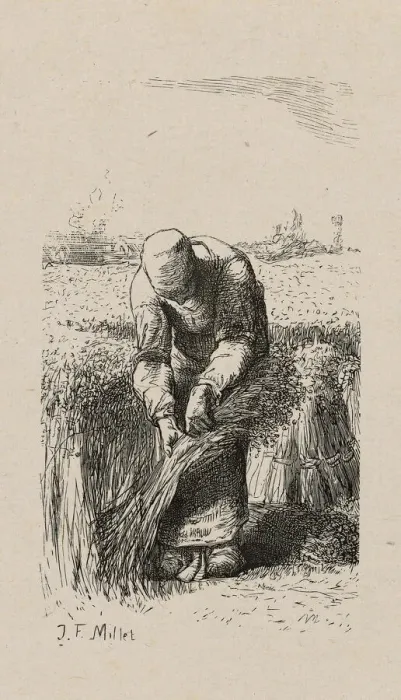 Framed Print : Woman Pulling Flax, 1853, after drawing made in 1852. Creator: Jacques-Adrien Lavieille Framed Print : Woman Pulling Flax, 1853, after drawing made in 1852. Creator: Jacques-Adrien Lavieille