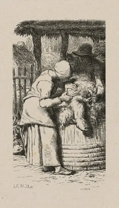 Framed Print : Woman Shearing Sheep, 1853, after drawing made in 1852. Creator: Jacques-Adrien Lavieille Framed Print : Woman Shearing Sheep, 1853, after drawing made in 1852. Creator: Jacques-Adrien Lavieille
