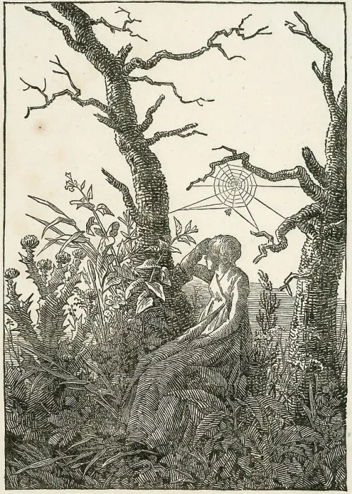Framed Print : Woman with Spider's Web Between Bare Trees, 1803. Creator: Caspar David Friedrich Framed Print : Woman with Spider's Web Between Bare Trees, 1803. Creator: Caspar David Friedrich