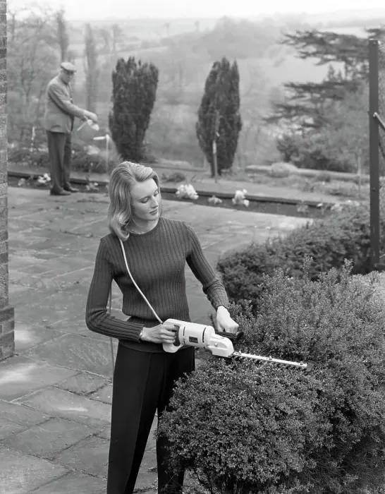 Framed Print : Woman using Stanley electric garden shears, 1965. Artist: Michael Walters Framed Print : Woman using Stanley electric garden shears, 1965. Artist: Michael Walters