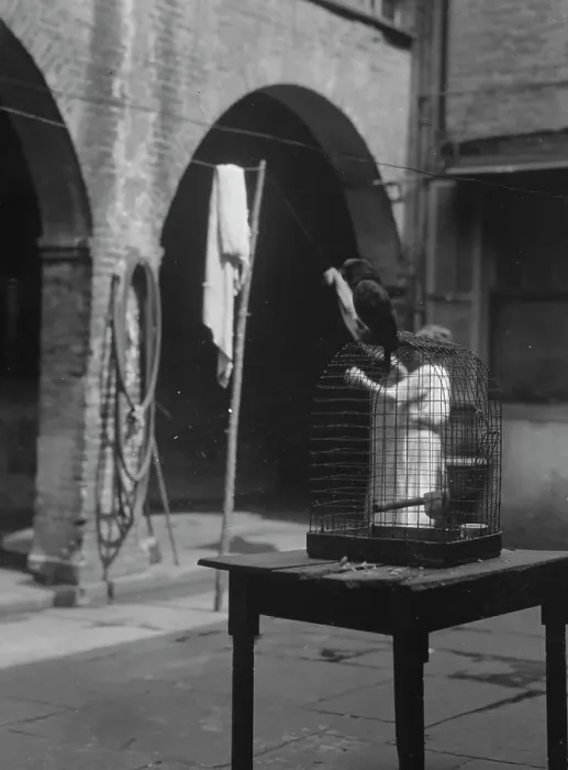 Framed Print : Woman working in a courtyard, New Orleans, between 1920 and 1926. Creator: Arnold Genthe Framed Print : Woman working in a courtyard, New Orleans, between 1920 and 1926. Creator: Arnold Genthe
