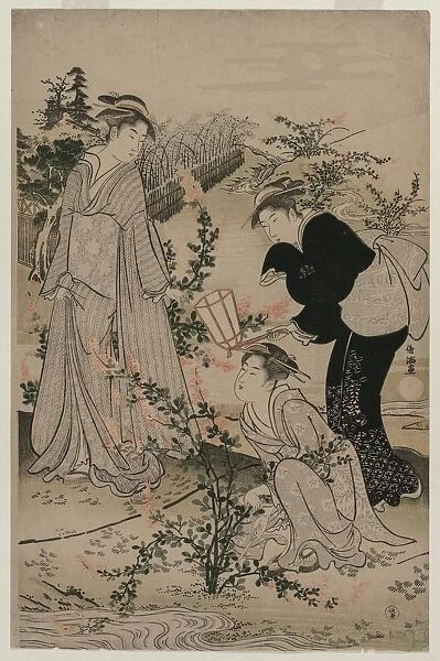 Women Cutting Branches of Bush Clover; The Noji Tama River in Omi Province... late 1780s