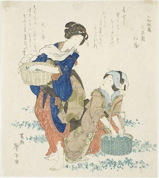 Two women gathering herbs, Japan, early 1830s. Creator: Katsushika Taito