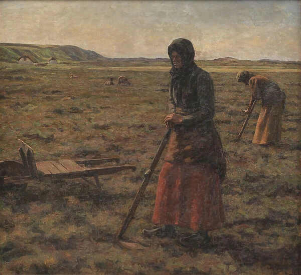 Women harvesting heather, 1906. Creator: Jens Vige
