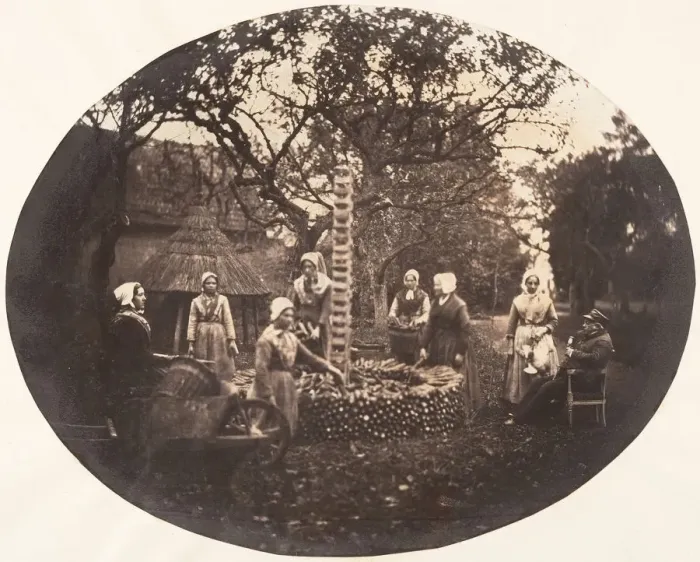 Framed Print : [Women Stacking Carrots], 1854-56. Creator: Louis-Pierre-Theophile Dubois de Nehaut