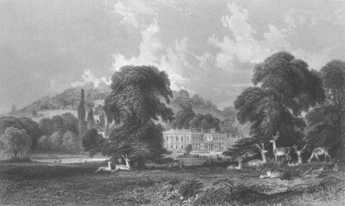Framed Print : Wonersh Park, c1845. Creator: E Radclyffe Framed Print : Wonersh Park, c1845. Creator: E Radclyffe