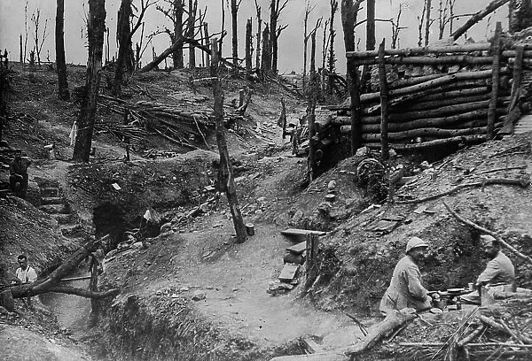The wood called Des Fermes in the Somme, between c1915 and c1920. Creator: Bain News Service