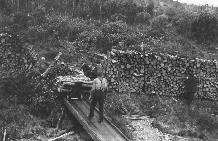 Framed Print : Wood chopper's station with fuel for steamers on the Upper Yukon, between c1900 and c1930. Creator: Unknown Framed Print : Wood chopper's station with fuel for steamers on the Upper Yukon, between c1900 and c1930. Creator: Unknown