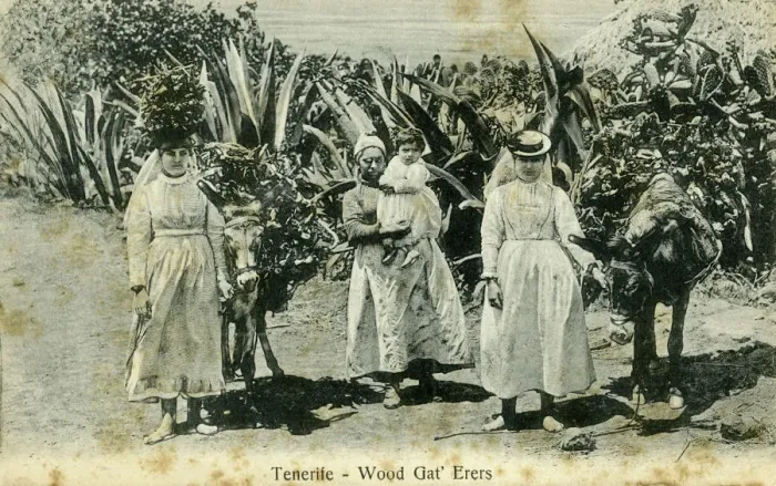 Framed Print : Wood gatherers, Tenerife, Canary Islands, early 20th century(?) Framed Print : Wood gatherers, Tenerife, Canary Islands, early 20th century(?)