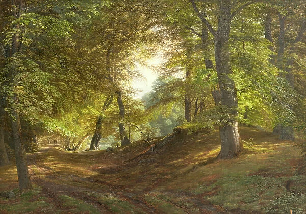 A Wood near Frederiksborg Castle, 1831-1851. Creator: Godtfred Rump