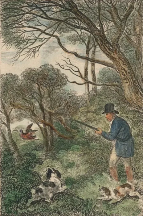 Framed Print : Woodcock Shooting, 1819. Creator: Samuel Howitt Framed Print : Woodcock Shooting, 1819. Creator: Samuel Howitt
