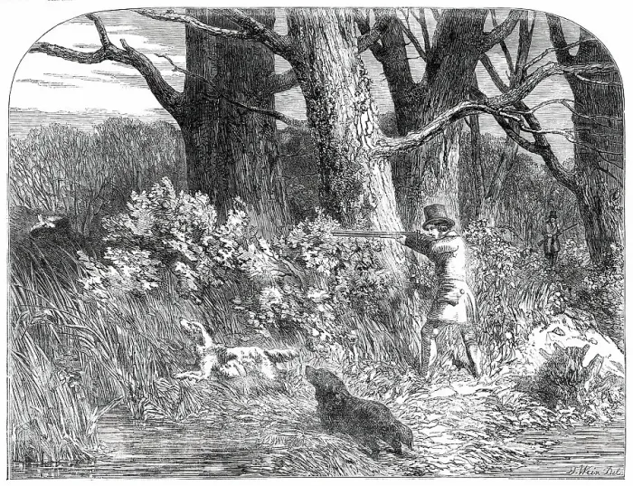 Framed Print : Woodcock Shooting, 1850. Creator: Unknown Framed Print : Woodcock Shooting, 1850. Creator: Unknown