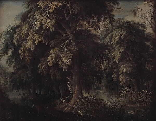 Wooded Landscape, 1615-1620. Creator: Alexander Keirincx
