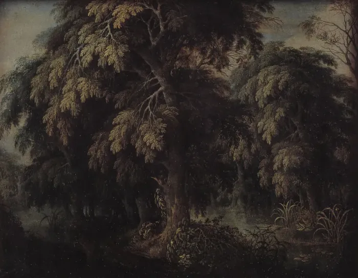 Framed Print : Wooded Landscape, 1615-1620. Creator: Alexander Keirincx Framed Print : Wooded Landscape, 1615-1620. Creator: Alexander Keirincx