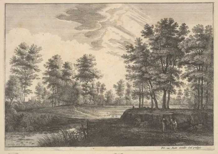 Framed Print : Wooded Landscape, 1644. Creator: Wenceslaus Hollar Framed Print : Wooded Landscape, 1644. Creator: Wenceslaus Hollar