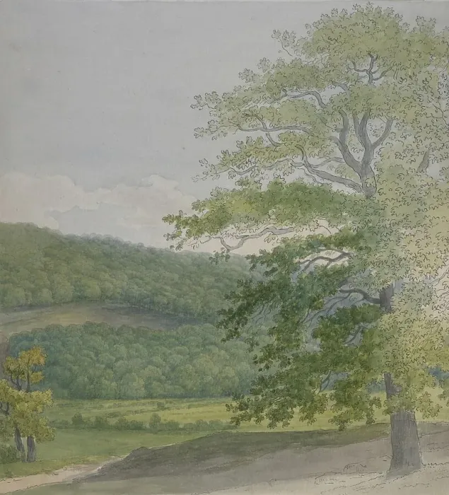 Framed Print : Wooded landscape, 1790s-1820s. Creator: John White Abbott Framed Print : Wooded landscape, 1790s-1820s. Creator: John White Abbott