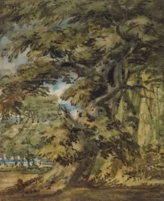 Framed Print : A Wooded Landscape, c1752. Creator: Thomas Girtin Framed Print : A Wooded Landscape, c1752. Creator: Thomas Girtin