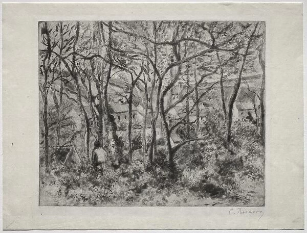 Wooded Landscape at LHermitage, Pontoise, 1879. Creator: Camille Pissarro (French, 1830-1903)