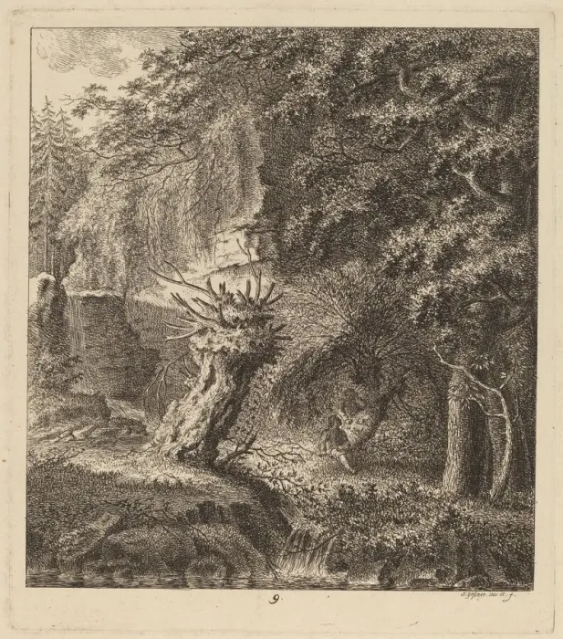 Framed Print : Wooded Landscape with a Pollarded Tree, 1764. Creator: Salomon Gessner Framed Print : Wooded Landscape with a Pollarded Tree, 1764. Creator: Salomon Gessner