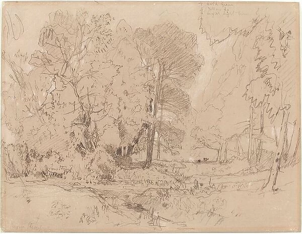 Wooded Landscape, probably 1841. Creator: John Sell Cotman