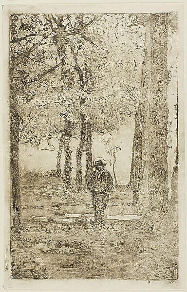 Wooded Walk with Figure, n.d. Creator: Giovanni Fattori