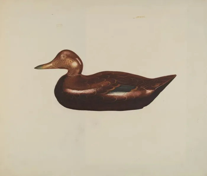 Framed Print : Wooden Duck, 1935 / 1942. Creator: Unknown Framed Print : Wooden Duck, 1935 / 1942. Creator: Unknown