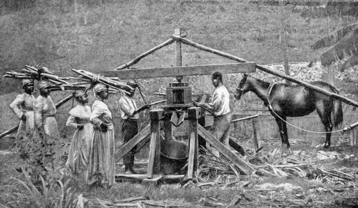 Framed Print : A wooden, horse-powered suger cane crushing mill, West Indies, 1922