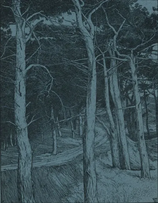 Framed Print : Woodland, c1912. Artist: Willem Wenckebach Framed Print : Woodland, c1912. Artist: Willem Wenckebach