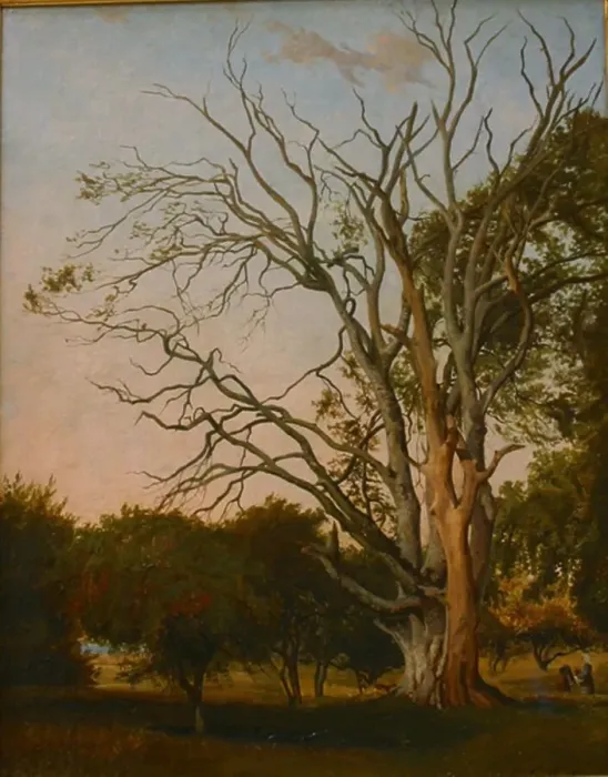 Framed Print : Woodland Scene with a Dead Tree, 1835. Creator: Johann Hermann Carmiencke Framed Print : Woodland Scene with a Dead Tree, 1835. Creator: Johann Hermann Carmiencke