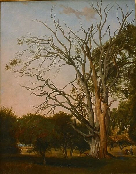 Woodland Scene with a Dead Tree, 1835. Creator: Johann Hermann Carmiencke