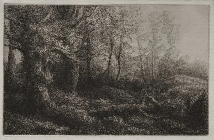 Framed Print : A Woodland Study. Creator: Alphonse Legros (French, 1837-1911) Framed Print : A Woodland Study. Creator: Alphonse Legros (French, 1837-1911)