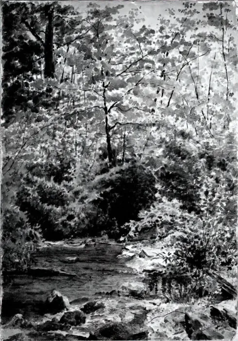 Framed Print : In The Woods, 1889. Creator: Louis Michel Eilshemius Framed Print : In The Woods, 1889. Creator: Louis Michel Eilshemius