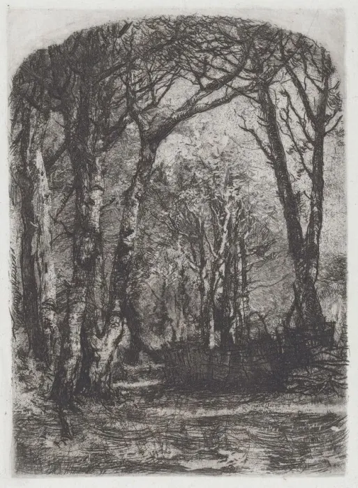 Framed Print : Woods [Bosco], c. 1895. Creator: Mose, Bianchi